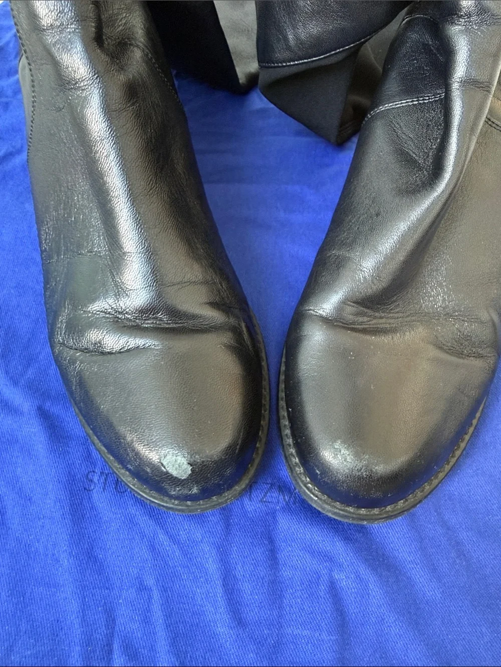 Stuart Weitzman elegant over